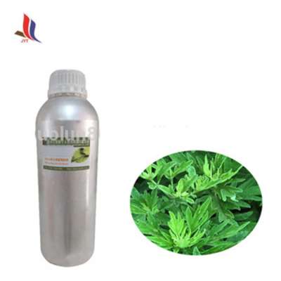 Artemisia Argyi  Wormwood Blumea Essential Oils Healthcare